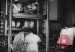 Immagine di Walt Disney Animation Studios Burbank California USA, 1943, secondo 15 filmato di repertorio 65675074182
