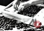 Immagine di Lavoratori sovietica Stalingrad Russia Unione Sovietica, 1945, secondo 50 filmato di repertorio 65675074191
