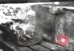 Image of Soviet workers Stalingrad Russia Soviet Union, 1945, second 27 stock footage video 65675074195
