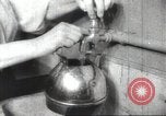 Immagine di Joseph Stalin Stalingrad Russia Unione Sovietica, 1945, secondo 29 filmato di repertorio 65675074196