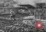 Image of Yugoslav partisans Yugoslavia, 1944, second 58 stock footage video 65675074200