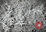 Standbild Landwirte Sowjetunion, 1947, aus Sekunde 28 historischem Filmmaterial Videoclip 65675074203