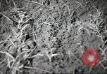 Standbild Landwirte Sowjetunion, 1947, aus Sekunde 29 historischem Filmmaterial Videoclip 65675074203