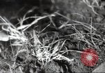 Standbild Landwirte Sowjetunion, 1947, aus Sekunde 33 historischem Filmmaterial Videoclip 65675074203