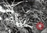 Standbild Landwirte Sowjetunion, 1947, aus Sekunde 34 historischem Filmmaterial Videoclip 65675074203