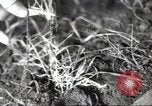 Standbild Landwirte Sowjetunion, 1947, aus Sekunde 35 historischem Filmmaterial Videoclip 65675074203