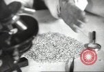 Standbild Landwirte Sowjetunion, 1947, aus Sekunde 53 historischem Filmmaterial Videoclip 65675074203