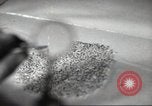 Standbild Landwirte Sowjetunion, 1947, aus Sekunde 56 historischem Filmmaterial Videoclip 65675074203