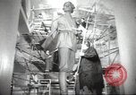 Immagine di Monumento a Maxiom Gorky Unione Sovietica, 1947, secondo 13 filmato di repertorio 65675074206