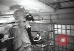 Immagine di Monumento a Maxiom Gorky Unione Sovietica, 1947, secondo 35 filmato di repertorio 65675074206