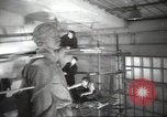 Immagine di Monumento a Maxiom Gorky Unione Sovietica, 1947, secondo 41 filmato di repertorio 65675074206