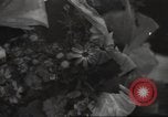 Immagine di Ballerina Maya Plisetskaya Mosca Russia Unione Sovietica, 1947, secondo 18 filmato di repertorio 65675074217