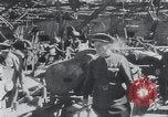 Image of Soviet workers Stalingrad Russia Soviet Union, 1945, second 12 stock footage video 65675074220
