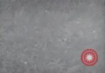 Standbild NATO Die Niederlande, 1953, aus Sekunde 19 historischem Filmmaterial Videoclip 65675074239