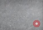Standbild NATO Die Niederlande, 1953, aus Sekunde 20 historischem Filmmaterial Videoclip 65675074239