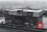 Immagine di Popolo ceco Praga Cecoslovacchia, 1953, secondo 58 filmato di repertorio 65675074244