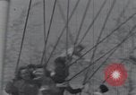 Image peut Day celebrations Moscou Russie Union Soviétique, 1953, de la seconde 16 séquences d'archives historiques vidéo 65675074249