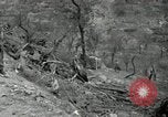 Immagine di Distrutto attrezzature tedesche Esperia Italia, 1944, secondo 18 filmato di repertorio 65675074260