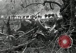 Immagine di Stati Uniti truppe Esperia Italia, 1944, secondo 19 filmato di repertorio 65675074261