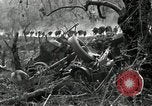 Immagine di Stati Uniti truppe Esperia Italia, 1944, secondo 21 filmato di repertorio 65675074261