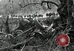 Immagine di Stati Uniti truppe Esperia Italia, 1944, secondo 22 filmato di repertorio 65675074261
