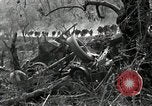 Immagine di Stati Uniti truppe Esperia Italia, 1944, secondo 24 filmato di repertorio 65675074261