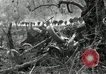 Immagine di Stati Uniti truppe Esperia Italia, 1944, secondo 25 filmato di repertorio 65675074261