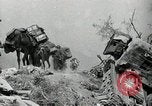 Immagine di Stati Uniti truppe Esperia Italia, 1944, secondo 31 filmato di repertorio 65675074261