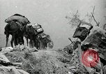 Immagine di Stati Uniti truppe Esperia Italia, 1944, secondo 33 filmato di repertorio 65675074261