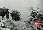 Immagine di Stati Uniti truppe Esperia Italia, 1944, secondo 35 filmato di repertorio 65675074261