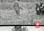 Immagine di Terza Divisione plotone di malta Cisternia Italia, 1944, secondo 23 filmato di repertorio 65675074262