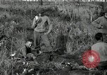 Standbild verletzt 3 Division Soldat Cisternia Italien, 1944, aus Sekunde 6 historischem Filmmaterial Videoclip 65675074263