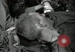 Standbild verletzt 3 Division Soldat Cisternia Italien, 1944, aus Sekunde 20 historischem Filmmaterial Videoclip 65675074263