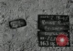 Immagine di Stati Uniti truppe Vieux-Brisach Germania, 1945, secondo 3 filmato di repertorio 65675074266