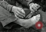 Immagine di Stati Uniti truppe Vieux-Brisach Germania, 1945, secondo 29 filmato di repertorio 65675074266