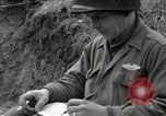 Immagine di Stati Uniti truppe Vieux-Brisach Germania, 1945, secondo 36 filmato di repertorio 65675074266