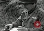 Immagine di Stati Uniti truppe Vieux-Brisach Germania, 1945, secondo 38 filmato di repertorio 65675074266