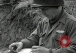 Immagine di Stati Uniti truppe Vieux-Brisach Germania, 1945, secondo 42 filmato di repertorio 65675074266