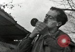 Immagine di Stati Uniti truppe Vieux-Brisach Germania, 1945, secondo 58 filmato di repertorio 65675074266