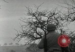 Immagine di Stati Uniti truppe Oberleuken Germania, 1945, secondo 43 filmato di repertorio 65675074267