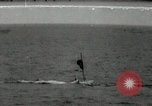 Image of United States submarine maneuvers Pacific Ocean, 1940, second 1 stock footage video 65675074273