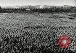 Image of Adolf Hitler Thuringia Germany, 1933, second 15 stock footage video 65675074289