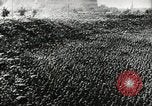 Image of Adolf Hitler Thuringia Germany, 1933, second 28 stock footage video 65675074289