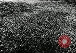 Image of Adolf Hitler Thuringia Germany, 1933, second 33 stock footage video 65675074289
