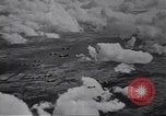 Image of  P-51D tail number 44-13325 Germany, 1945, second 3 stock footage video 65675074297