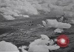 Image of  P-51D tail number 44-13325 Germany, 1945, second 4 stock footage video 65675074297