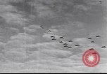 Image of  P-51D tail number 44-13325 Germany, 1945, second 44 stock footage video 65675074297
