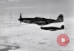 Image of  P-51D tail number 44-13325 Germany, 1945, second 46 stock footage video 65675074297