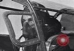 Image of  P-51D tail number 44-13325 Germany, 1945, second 49 stock footage video 65675074297