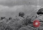 Image of African American soldiers in action in World War 2 European Theater, 1944, second 13 stock footage video 65675074298